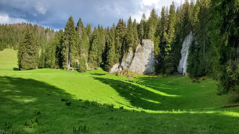 From Oradea: Apuseni Mountains Guided Hiking Tour - Biserica Motului: The Scenic Finale Back on the Plateau