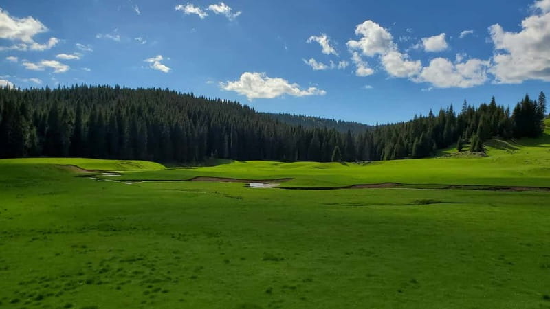 From Oradea: Apuseni Mountains Guided Hiking Tour - The Guide and Group Size That Make a Difference