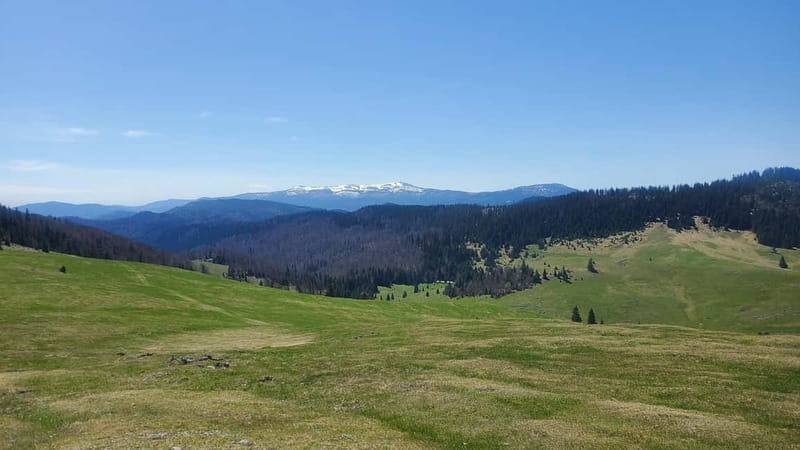 From Oradea: Apuseni Mountains Guided Hiking Tour - Padis Plateau Loop: The Smart Way to Spend Your Limited Time