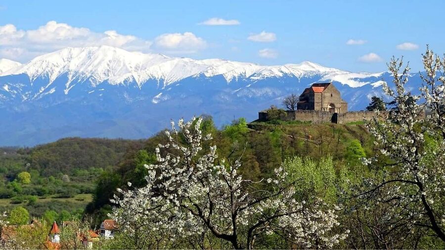 From Sibiu: Blue Line & City Tour Sighisoara - UNESCO - Key things to look forward to