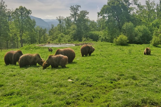 Golden Circle of Transylvania - Coltesti Fortress ruins near Alba Iulia: quick history and a scenic finish