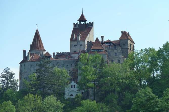 Guided visit in Spanish to the Castle of Dracula in Bran (native Spanish guide). - Inside the castle: what happens during the one-hour visit