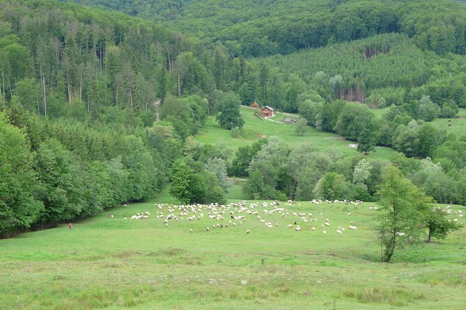 Half Day Tour to Bucovina Painted Monasteries - The Best Part You Might Forget: Souvenir Time Near Voronet
