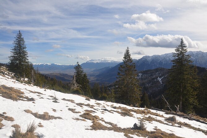 Hike in the Wild Private Photo Tour - Winter hiking: wildlife tracks you can actually spot