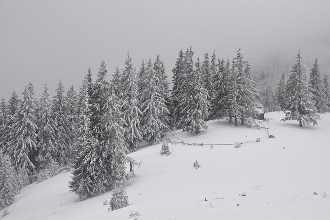 Hike in the Wild Private Photo Tour - What you need to bring so you do not feel miserable