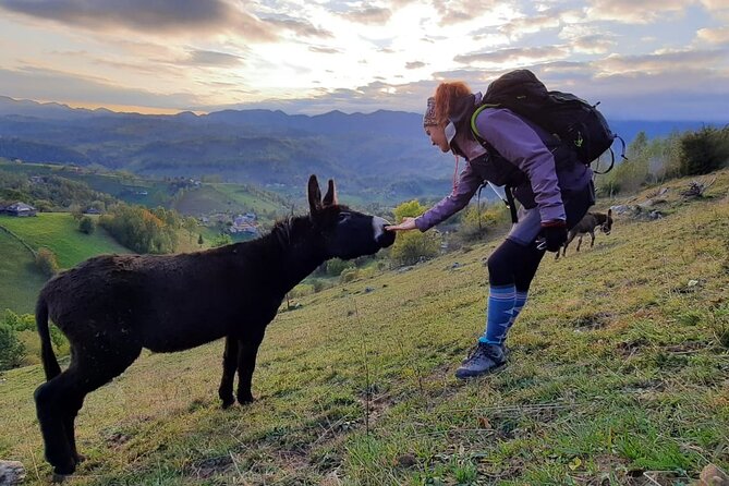 Hiking thought the best mountain villages in Romania-Private tour from Brasov - What food and drinks not included really means