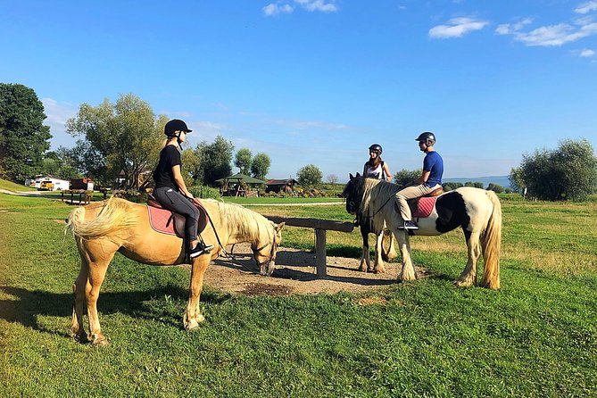 Horseback Riding Tour In Brasov - Ride Through Fields, Forests & Hills - Key Highlights at a Glance