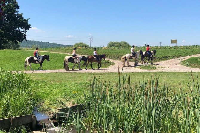 Horseback Riding Tour In Brasov - Ride Through Fields, Forests & Hills - A 5-Hour Half-Day Plan That Starts With a Ranch Drive