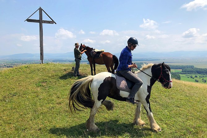 Horseback Riding Tour In Brasov - Ride Through Fields, Forests & Hills - Back at the Ranch: Stables Access and Purebred Horse Time