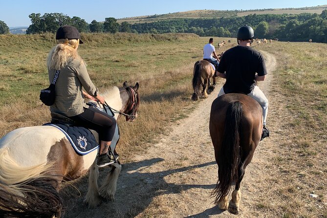 Horseback Riding Tour In Brasov - Ride Through Fields, Forests & Hills - The Optional Fortified Church Visit for Culture Time