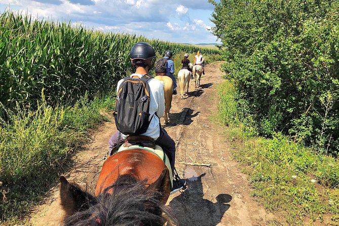 Horseback Riding Tour In Brasov - Ride Through Fields, Forests & Hills - Price and Value: What $144.57 Really Covers