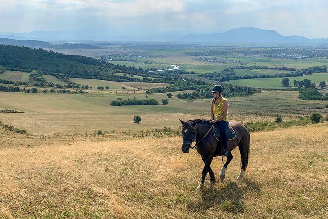 Horseback Riding Tour In Brasov - Ride Through Fields, Forests & Hills - Who This Tour Suits Best (And Who Should Skip It)