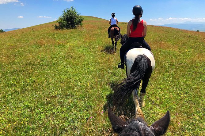 Horseback Riding Tour In Brasov - Ride Through Fields, Forests & Hills - Making the Most of Your Ride Day