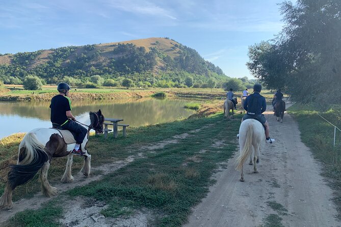 Horseback Riding Tour In Brasov - Ride Through Fields, Forests & Hills - Your Horse, Your Level, and What Counts as Guidance