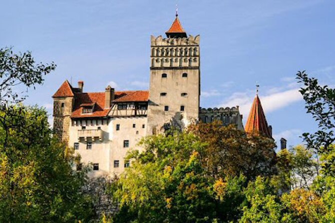 In Search of Dracula and the Teutons in Transylvania Full-Day Private Tour - Targoviste Royal Court: Wallachia’s first capital and the Vlad connection