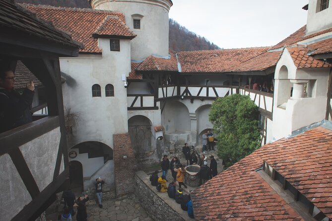 Legends&Wildlife Awaits: Dracula's Castle & Bear Sanctuary - Bucharest to Transylvania, without the headache