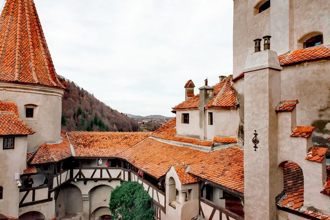 Legends&Wildlife Awaits: Dracula's Castle & Bear Sanctuary - The ride, the commentary, and what makes this tour feel smooth