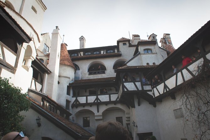 Legends&Wildlife Awaits: Dracula's Castle & Bear Sanctuary - What you pay for at $224.76 per person