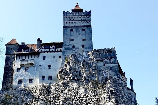 Libearty Bear Sanctuary and Dracula's Castle - Day Tour from Bucharest - Price and Logistics: Is It Good Value?
