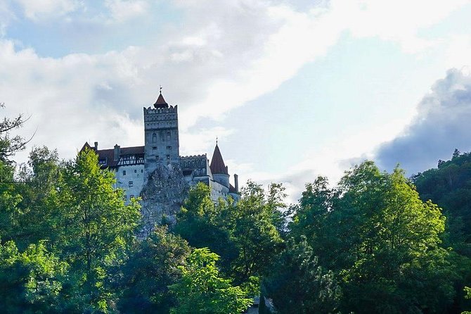 Libearty Bear Sanctuary and Dracula's Castle - Day Tour from Bucharest - Who Should Book This Tour, and Who Might Prefer Something Else