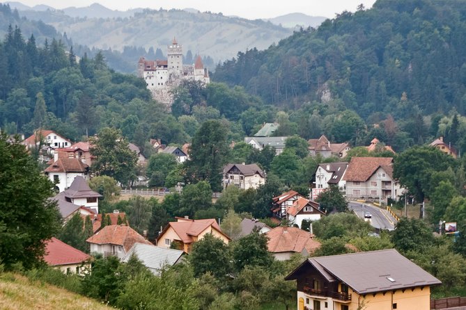Libearty Bear Sanctuary and Dracula's Castle - Day Tour from Bucharest - Should You Book WE-TOUR to Libearty and Bran?