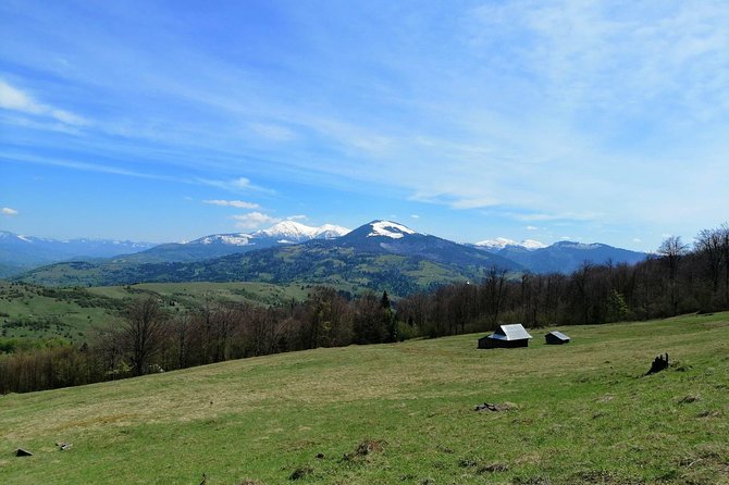 Maramures in a nutshell - Merry Cemetery: reading the empiric tombstones and meeting the makers
