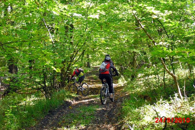 Mountain Bike Day Tour around Brasov - Price, time, and what $51.14 gets you