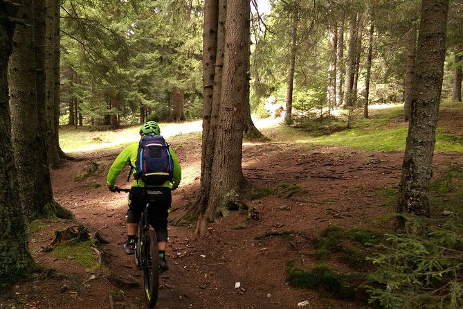 Mountain Bike Day Tour around Brasov - Evening downhill: the part to plan around