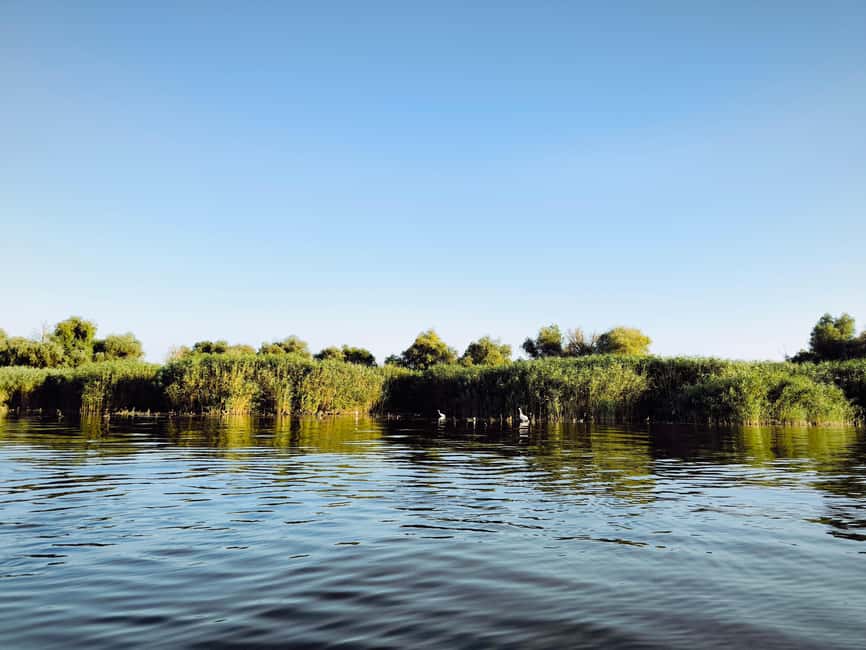 Murighiol: Danube Delta Guided Boat Tour - Picking the right tour length, sunrise, sunset, and full-day options