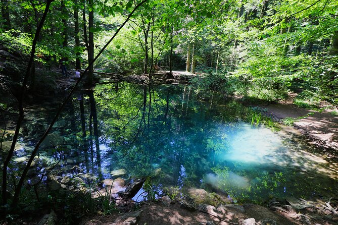 Nera Gorge National Park - Private Day Tour from Timisoara - Key things to know before you go