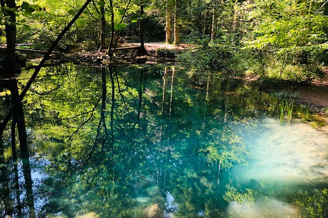 Nera Gorge National Park - Private Day Tour from Timisoara - Beușnița Waterfall: plan for seasonal flow, not a constant show
