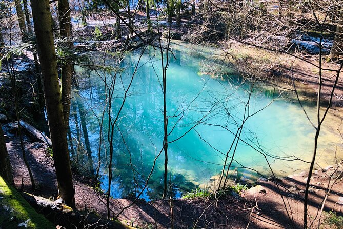 Nera Gorge National Park - Private Day Tour from Timisoara - The pacing reality: 9 hours from Timisoara, with park time that’s tight