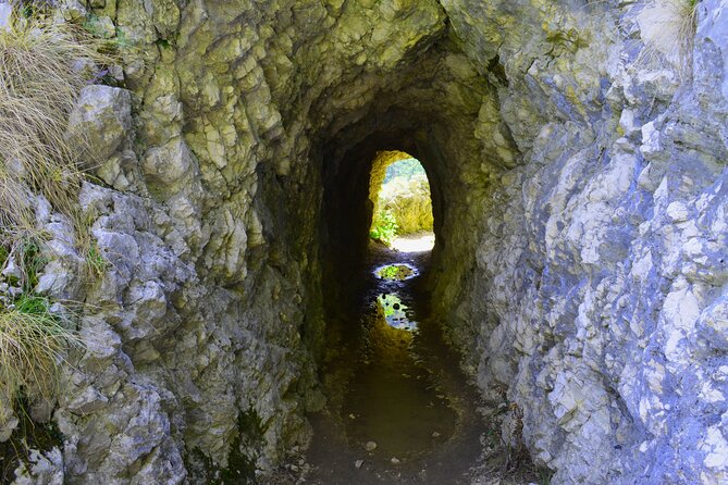 Nera Gorge National Park - Private Day Tour from Timisoara - Cheile Nerei tunnels: the limestone start that sets the tone