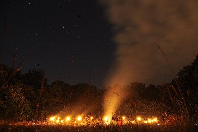 Night Tour in Hoia Baciu Forest - Hoia Baciu Forest at Night: Why the Round Clearing Matters