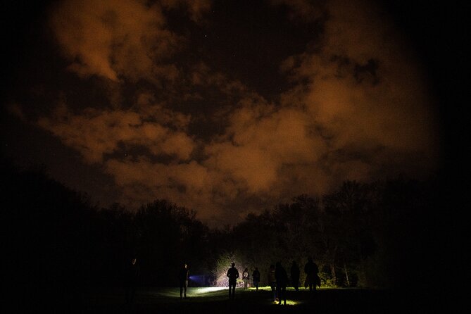 Night Tour in Hoia Baciu Forest - The 3.5 km Night Walk: Pace, Mud, and What to Expect After Dark