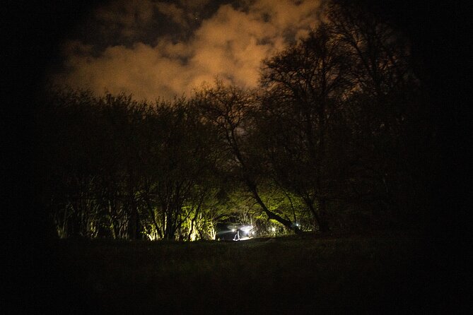 Night Tour in Hoia Baciu Forest - What’s Included: Transportation, Flashlights, and the Stuff That Actually Helps