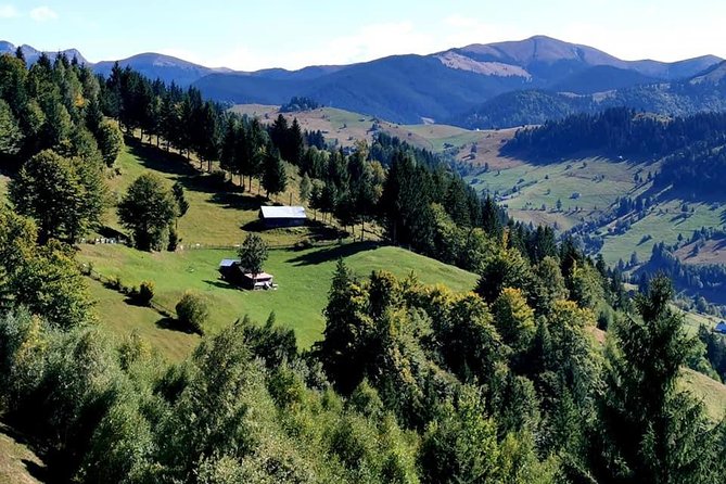 Off Road Adventures in Wild Carpathians - 5 Days - Day 3: Zarnesti canyon walk, rural villages, and Bran Castle