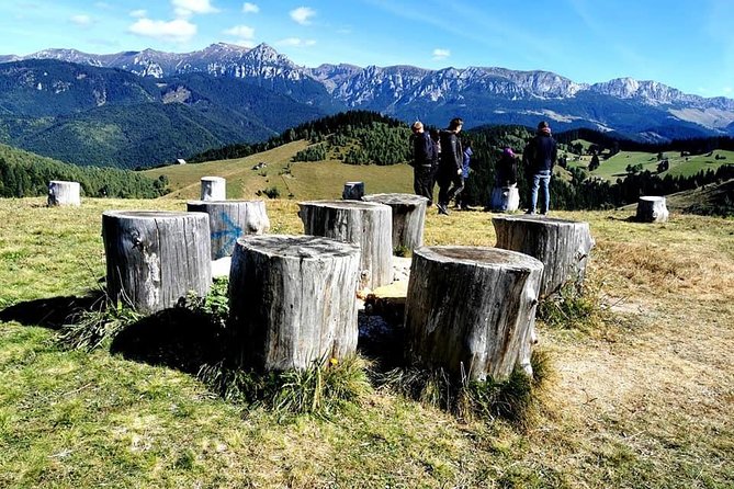 Off Road Adventures in Wild Carpathians - 5 Days - Price and value: is $1,510.93 per person worth it?