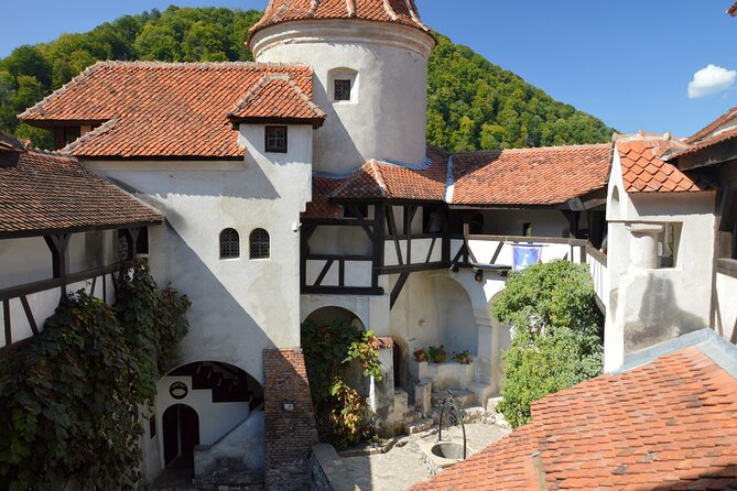 One Day Private Tour to Peles and Dracula Castles & Brasov City - A One-Day Transylvania Hit from Bucharest