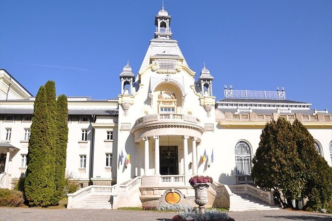 One Day Private Tour to Peles and Dracula Castles & Brasov City - Peles Castle: The Staircase Moment and How to Plan Your Visit