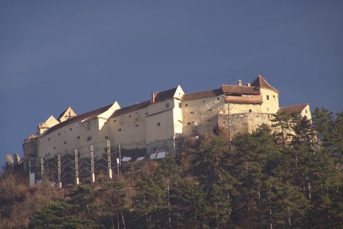 One day trip Bear Sanctuary Dracula Castel and Rasnov Fortress from Brasov - The Guide Factor: Catalin’s Practical Style