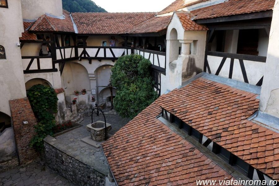 One day trip Bear Sanctuary, Dracula Castle - Should you book this 7-hour trip?
