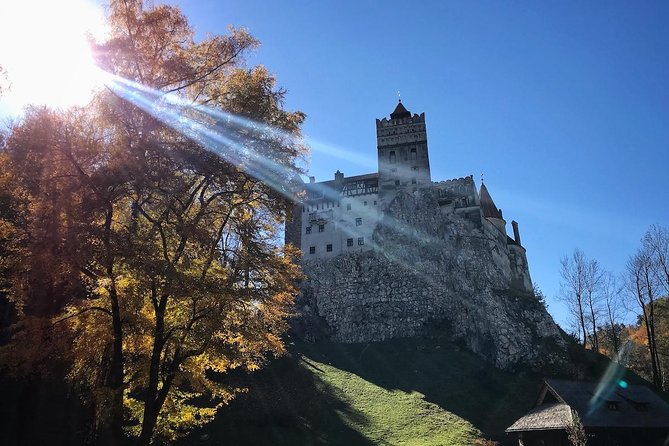 One day trip Bear Sanctuary, Dracula Castle, Rasnov Fortress from Brasov - Bran Castle, the Dracula vibe, and what actually fits in two hours