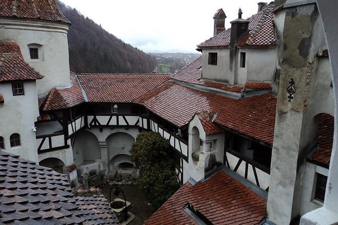 One day trip Bear Sanctuary, Dracula Castle, Rasnov Fortress from Brasov - Timing: what a typical day feels like