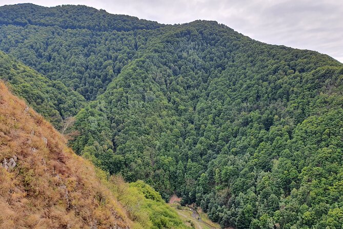 One-Day Vlad the Impaler Royal Court Private Tour from Bucharest - Curtea de Arges Monastery: first capital vibes and a guided story