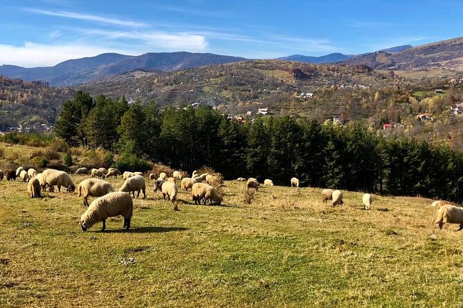 Original Carpathian Village Experience and Sinaia in one day tour - Stop 1: fortified church villages and the village-life story you came for