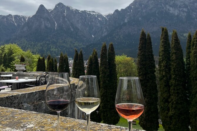 Peles & Cantacuzino Castles: Gourmet Wine & Cultural Day trip - What’s Included, What Isn’t, and How to Budget the Real Cost