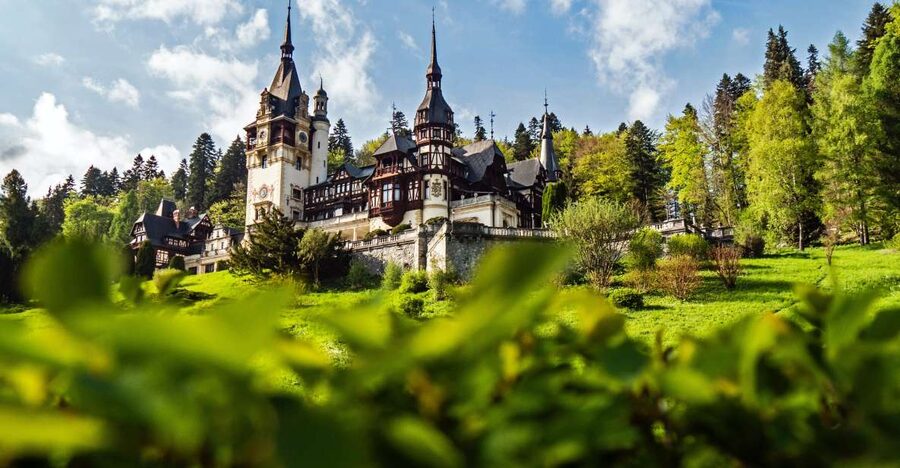 Peles & Cantacuzino Castles: Gourmet Wine & Cultural trip - Peleș Meets Wine: Why This 8-Hour Trip Works