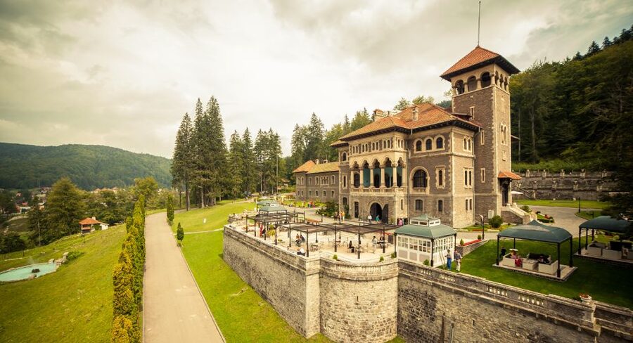 Peles & Cantacuzino Castles: Gourmet Wine & Cultural trip - Wine Tasting on the Terrace, Plus Romanian Cheese Pairings