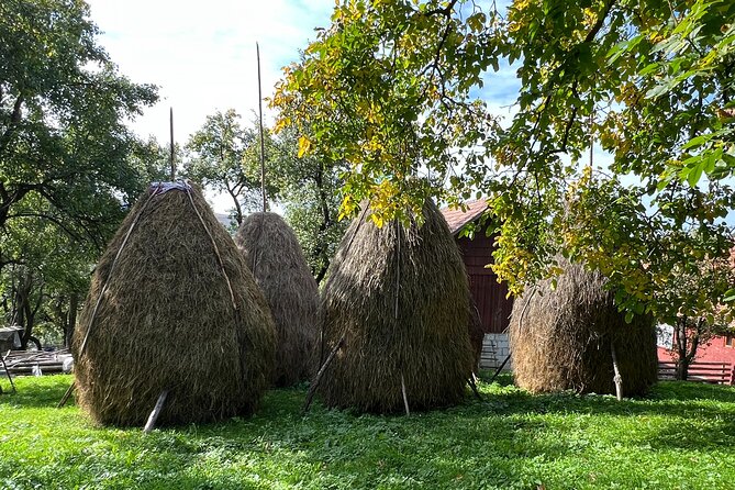 Peles castle and authentic Romanian village experience - day trip - Secăria Village Time: Lunch With Locals and Mountain-Edge Calm